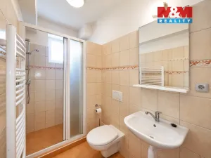 Pronájem bytu 1+kk, Ostrava - Moravská Ostrava, S. K. Neumanna, 22 m2