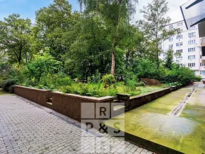 Prodej bytu 3+kk, Praha - Žižkov, Viklefova, 100 m2