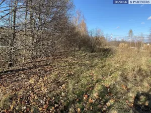 Prodej pozemku pro bydlení, Frýdlant nad Ostravicí, Havlíčkova, 6279 m2