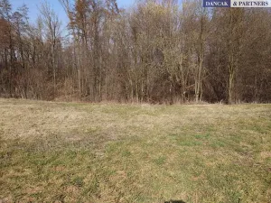 Prodej pozemku pro bydlení, Ostrava, 3094 m2