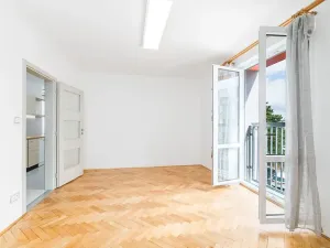 Prodej bytu 3+1, Veselí nad Lužnicí, Pod Markem, 62 m2