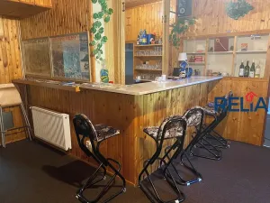 Prodej ubytování, Lučany nad Nisou, 520 m2