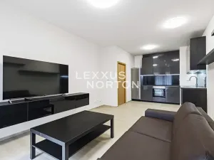 Pronájem bytu 2+kk, Praha - Bubeneč, Mlýnská, 47 m2