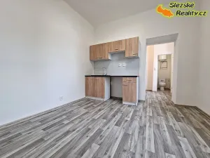 Pronájem bytu 1+1, Ostrava, 39 m2