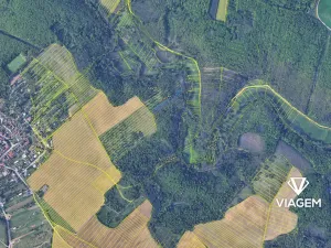 Prodej lesa, Radostice, 2524 m2