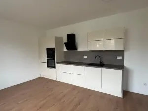 Pronájem vily, Ostrava, Hlučínská, 200 m2