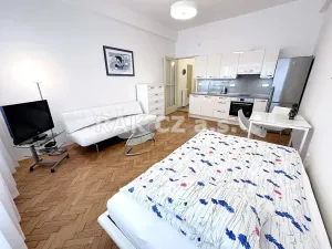 Pronájem bytu 1+kk, Praha - Nové Město, Truhlářská, 32 m2