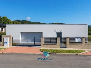 Prodej rodinného domu, Dubí, V Aleji, 206 m2