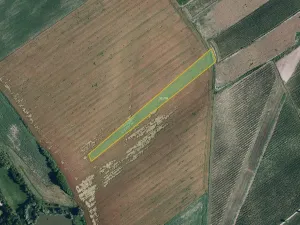Prodej pole, Nový Poddvorov, 10177 m2