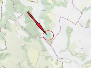 Prodej lesa, Silůvky, 3372 m2