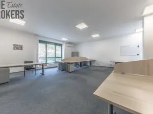 Pronájem rodinného domu, Mladá Boleslav - Čejetice, Koněvova, 296 m2