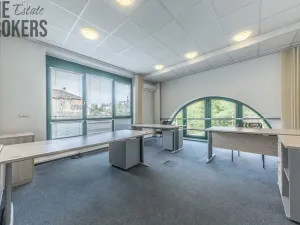 Pronájem rodinného domu, Mladá Boleslav - Čejetice, Koněvova, 296 m2