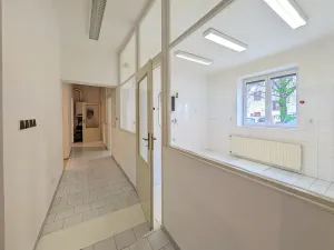 Pronájem obchodního prostoru, Brno, Tyršova, 120 m2