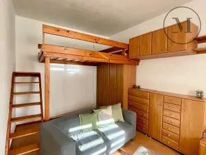 Pronájem bytu 1+1, České Budějovice, 30 m2