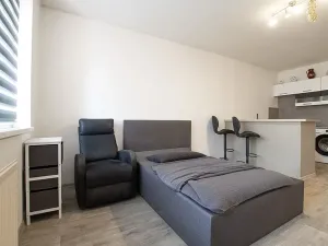 Prodej bytu 1+kk, České Budějovice, K. Chocholy, 30 m2