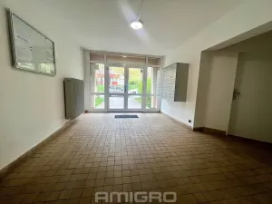 Prodej bytu 3+1, Brno, Bieblova, 66 m2