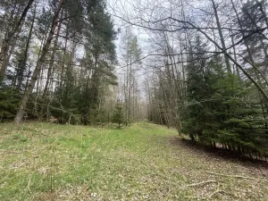 Prodej pozemku, Volfířov - Brandlín, 5958 m2