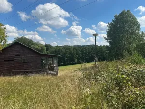 Prodej ubytování, Bílé Poličany, 1000 m2