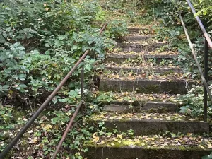 Prodej ubytování, Bílé Poličany, 1000 m2