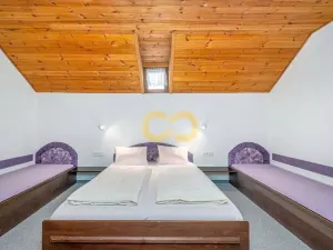 Prodej ubytování, Český Krumlov, Rooseveltova, 391 m2