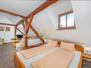 Prodej ubytování, Český Krumlov, Rooseveltova, 391 m2