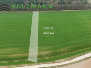 Prodej pole, Tlučná, 9274 m2