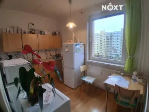 Prodej bytu 2+1, České Budějovice, Netolická, 49 m2