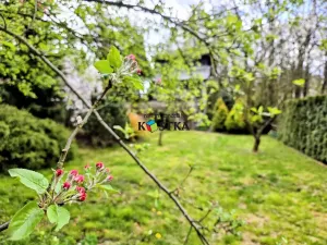 Prodej chaty, Studénka, Malá strana, 50 m2