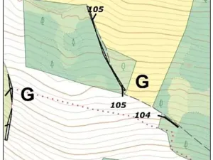 Prodej lesa, Červená Řečice, 326 m2