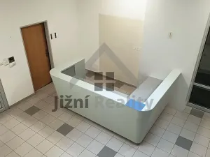 Pronájem kanceláře, Praha - Břevnov, Bělohorská, 1054 m2