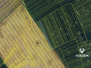 Prodej podílu pole, Mistřice, 460 m2