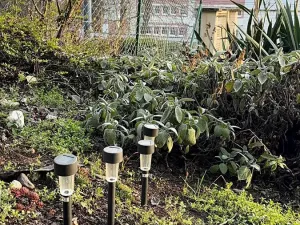 Prodej bytu 1+1, Praha - Michle, U plynárny, 37 m2