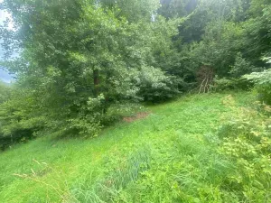 Dražba pozemku pro bydlení, Mladkov, 1004 m2