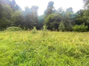 Dražba pozemku pro bydlení, Mladkov, 1004 m2