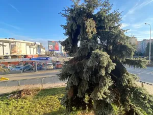 Pronájem bytu 3+1, Brno, Poříčí, 81 m2