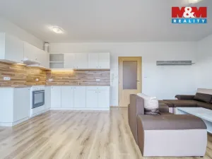 Pronájem bytu 1+kk, Plasy, U Václava, 42 m2