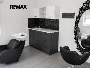 Prodej rodinného domu, Heršpice, 309 m2