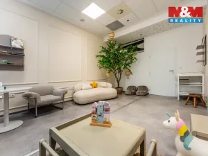 Pronájem komerční nemovitosti, Praha, Jihlavská, 30 m2