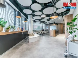 Pronájem komerční nemovitosti, Praha, Jihlavská, 30 m2