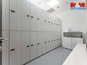Pronájem komerční nemovitosti, Praha, Jihlavská, 30 m2