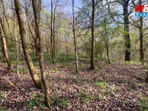 Prodej pole, Písek - Hradiště, 5135 m2