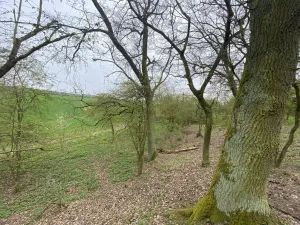 Prodej pozemku, Štětí - Brocno, 1107 m2