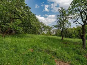 Prodej pozemku pro bydlení, Veliny, 1652 m2