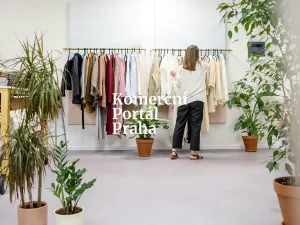 Pronájem obchodního prostoru, Praha, Vodičkova, 273 m2