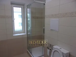 Pronájem bytu 3+1, Ústí nad Labem, Sociální péče, 65 m2