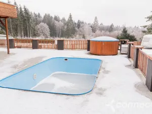 Prodej chaty, Nová Bystřice - Albeř, 259 m2