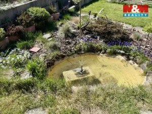 Prodej chaty, Homole - Nové Homole, 40 m2