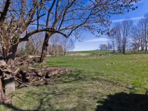 Prodej chalupy, Střížovice, 275 m2