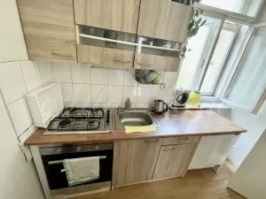 Pronájem bytu 2+1, Brno - Staré Brno, Pekařská, 62 m2