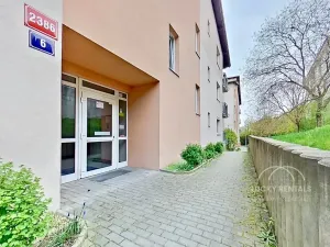 Pronájem bytu 1+kk, Praha - Libeň, Budilova, 41 m2